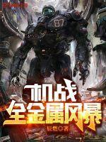 机战全金属风暴 第2387章