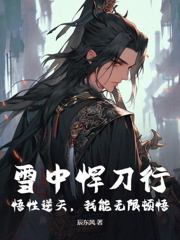 雪中悍刀行禅语