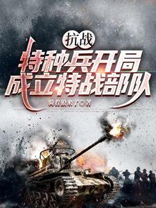抗战特种兵系统