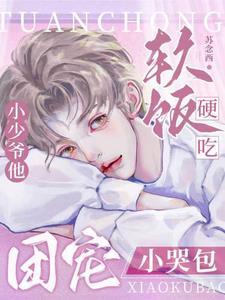 小少爷团宠文