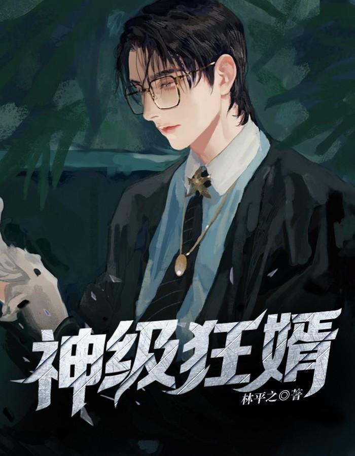 神级狂婿简介