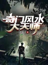 奇门风水大天师女主