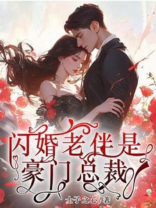 闪婚老公是总裁电视剧