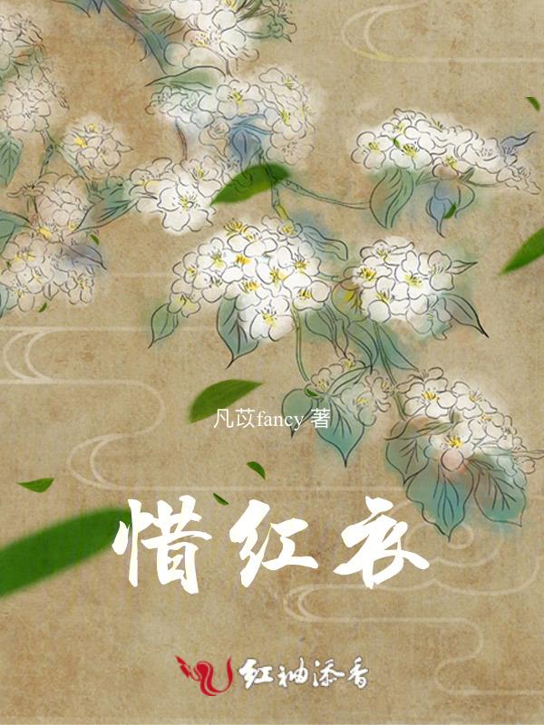 惜红衣和风熊哪个好用