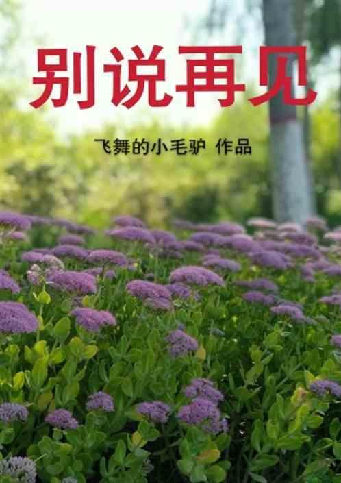 歌词别说再见是那首歌