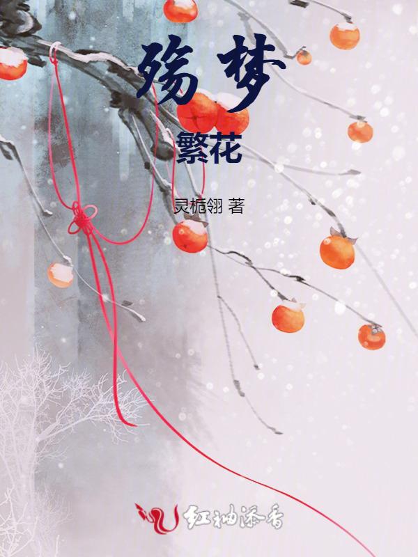 梦里繁花也搁浅