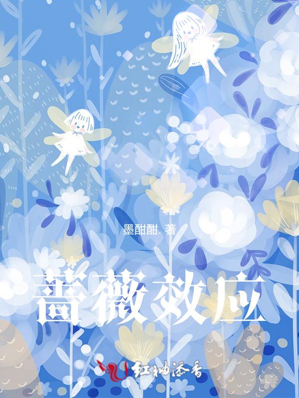 蔷薇td
