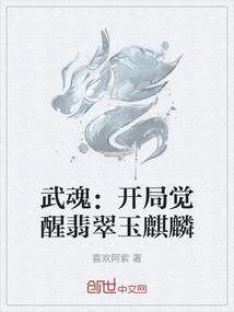 武魂开局我震惊了