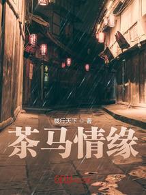 茶马风情烟多少一包