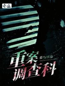 重案简介