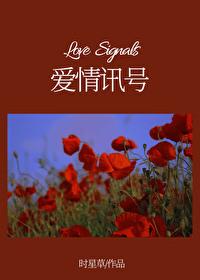 爱情号是什么意思