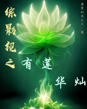 综影视含有宝莲灯