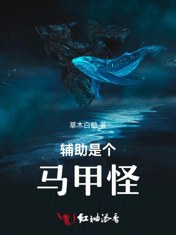 是辅助吗