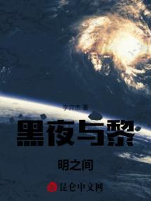 黑夜与黎明有多少个任务