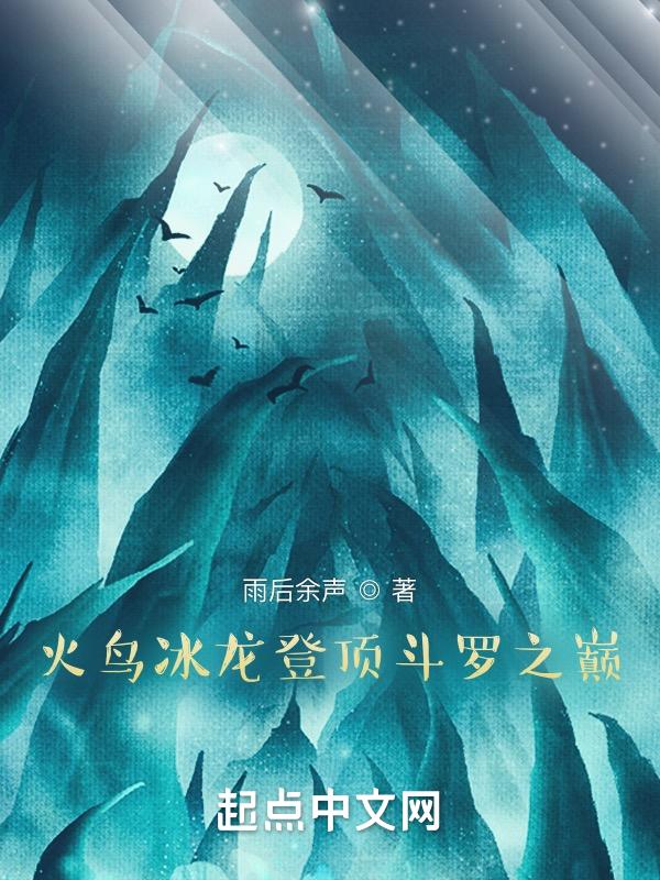 冰龙火龙 对战