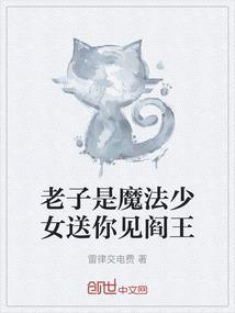 老子是魔法少女中文版