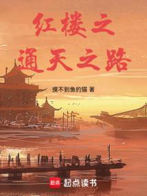 红楼之通天之路最新章节更新内容介绍
