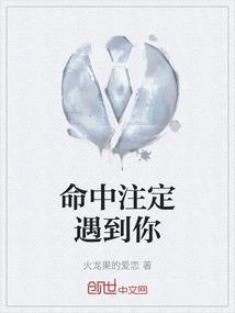 命中注定遇见你歌词
