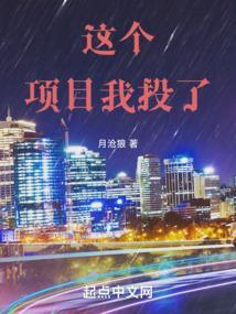 这个项目是谁呀