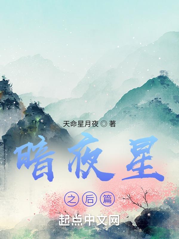 暗夜星爵怎么样