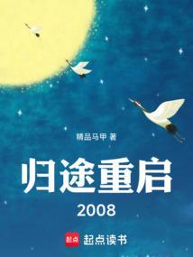 归途的电视剧
