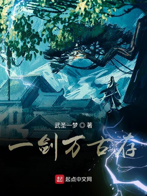 万古第一神剑无意