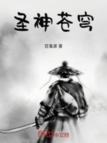 苍穹圣王照片