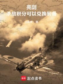亮剑杀敌积分可以兑换装备嘛