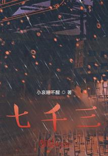 七千三百多天作词人