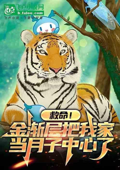 金渐层猫舍多少钱