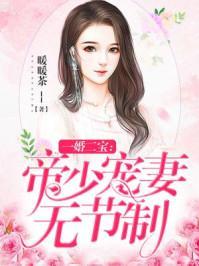一婚二宝帝少宠妻无节制 无删减