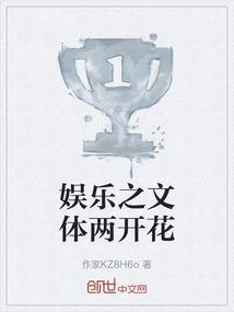 娱乐之文娱之王