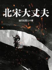 北宋大丈夫精校txt