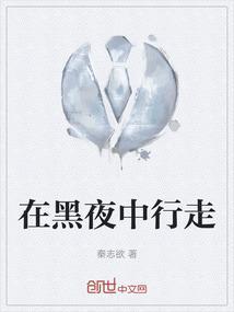 在黑夜中行走是什么歌
