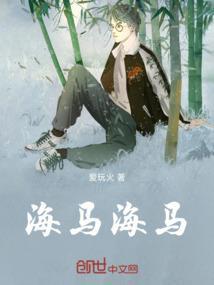 海马海马精酿啤酒
