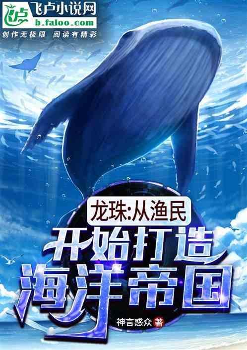 龙珠之海贼系统