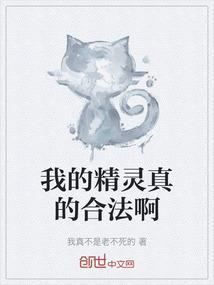 我的精灵是什么