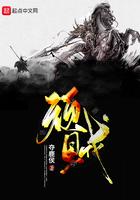 顽贼 陈钦岱