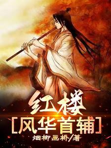 红楼风华首辅类型的