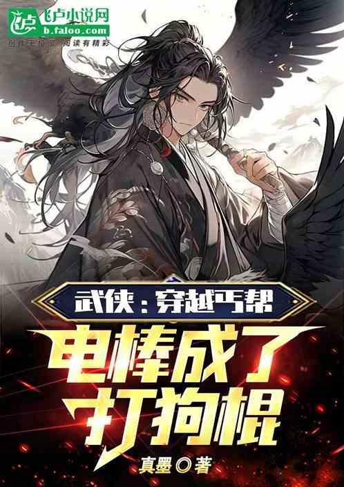 穿越当丐帮帮主的电影