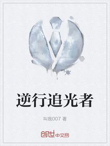 逆行追光什么意思