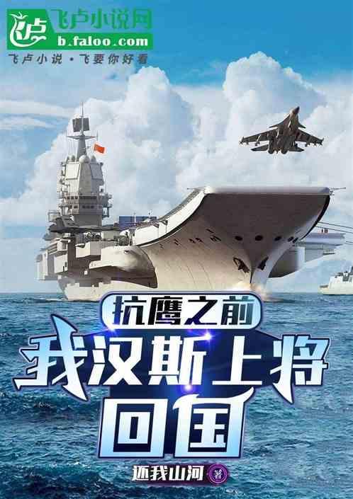 我汉斯上将回国免费