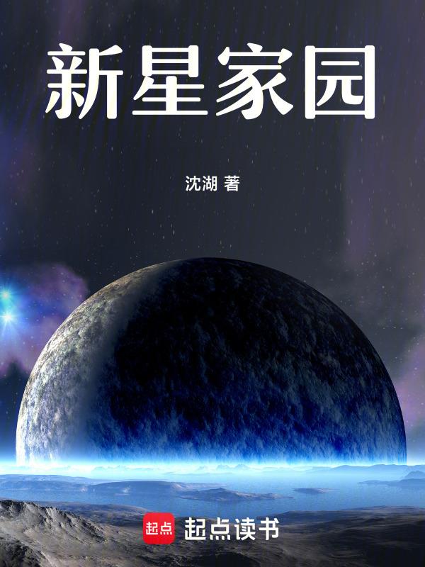 新星家园一期户型图