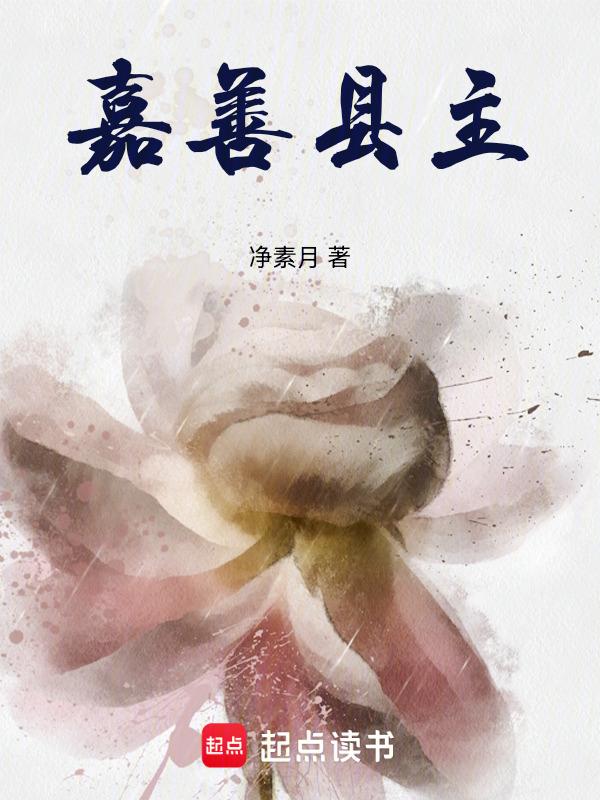 嘉善县主城区是哪个街道