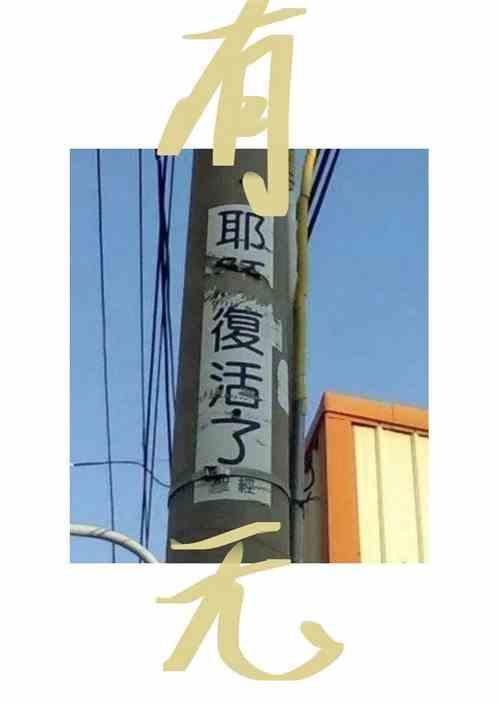 有无脊柱和有无脊椎的区别