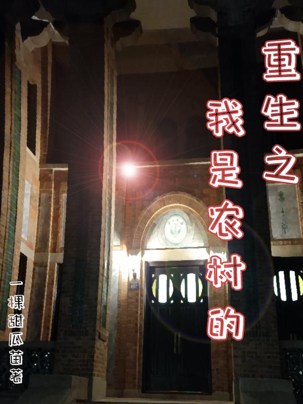 重生之我的农村生活txt