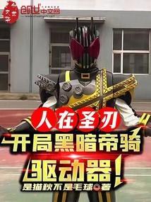 人在铠武我有黑暗帝骑卡组