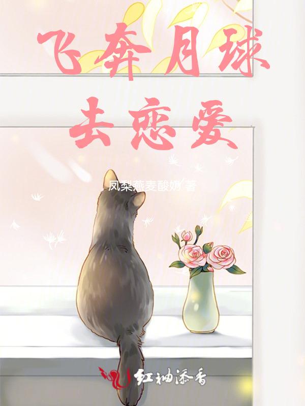 飞奔去月球原型