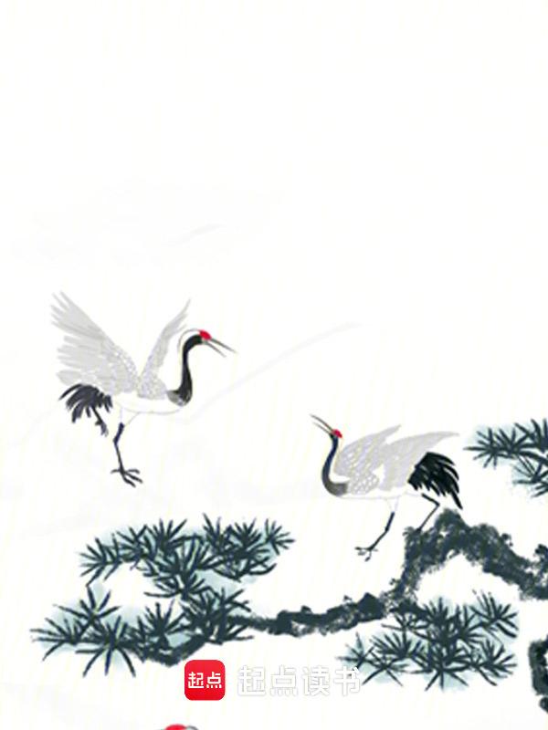 恒界境界划分
