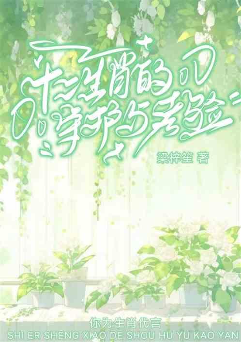 十二生肖守护神完整版